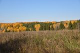 Урочище Сынково и окрестности, image of landscape/habitat.