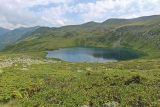 Image of landscape