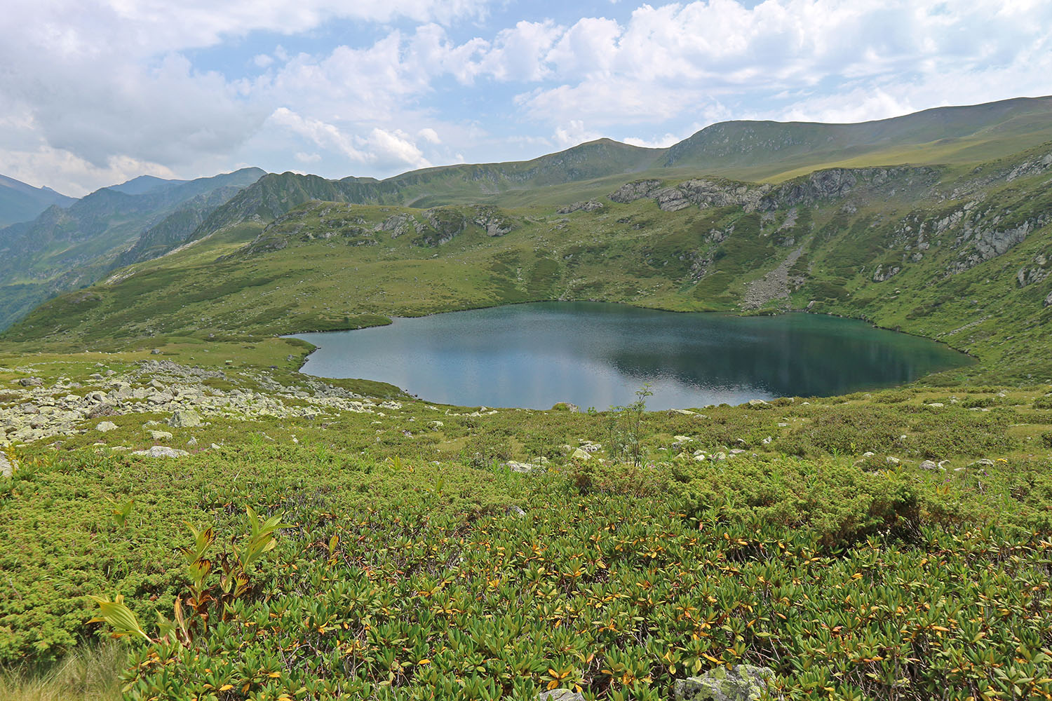 Ацгарские озёра, image of landscape/habitat.
