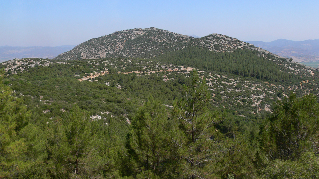 Окрестности города Сельчук, image of landscape/habitat.