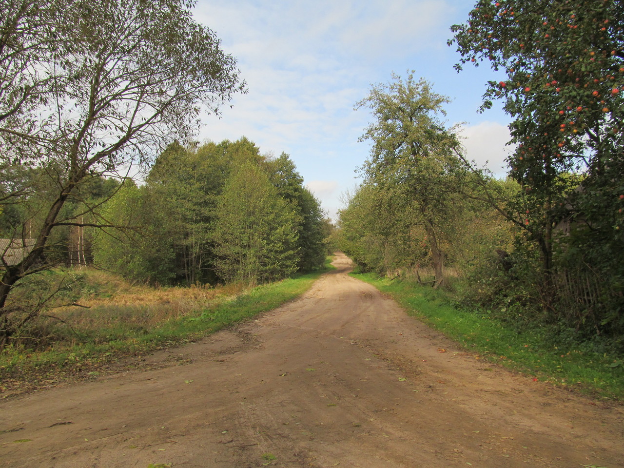 Писаруки, image of landscape/habitat.