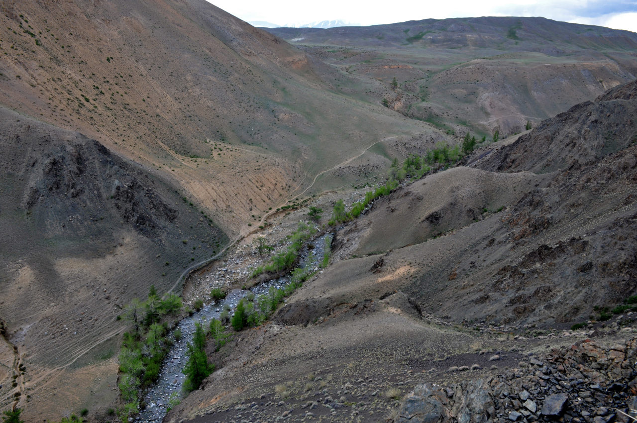 Долина реки Кызыл-Чин, image of landscape/habitat.