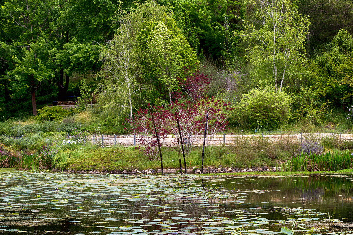 Иерусалимский Ботсад, image of landscape/habitat.