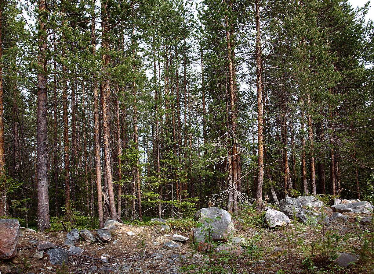 Колвица, image of landscape/habitat.