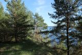 Image of landscape