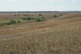 Долины рек Авраль, image of landscape/habitat.