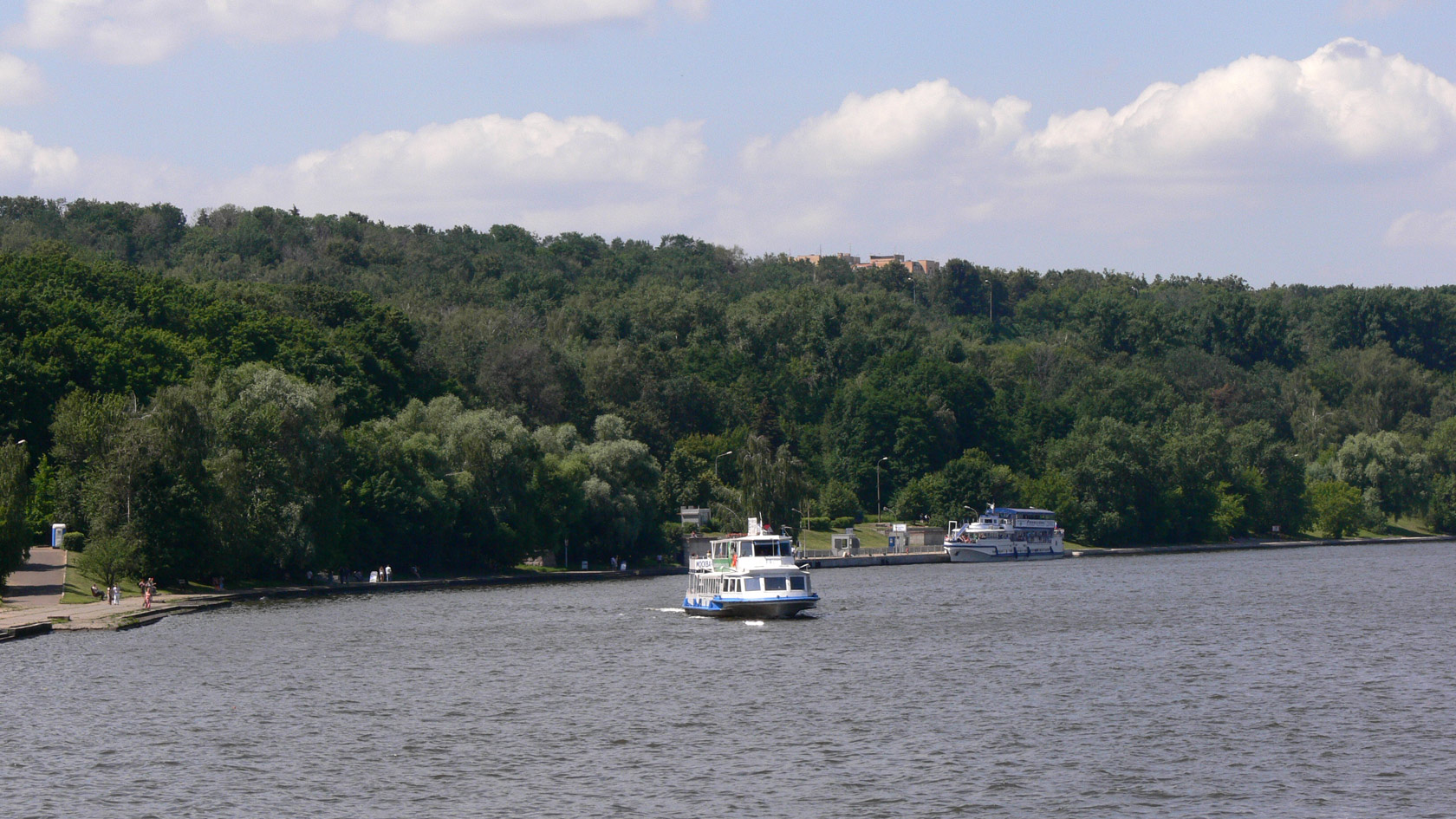 Воробьёвы горы, image of landscape/habitat.