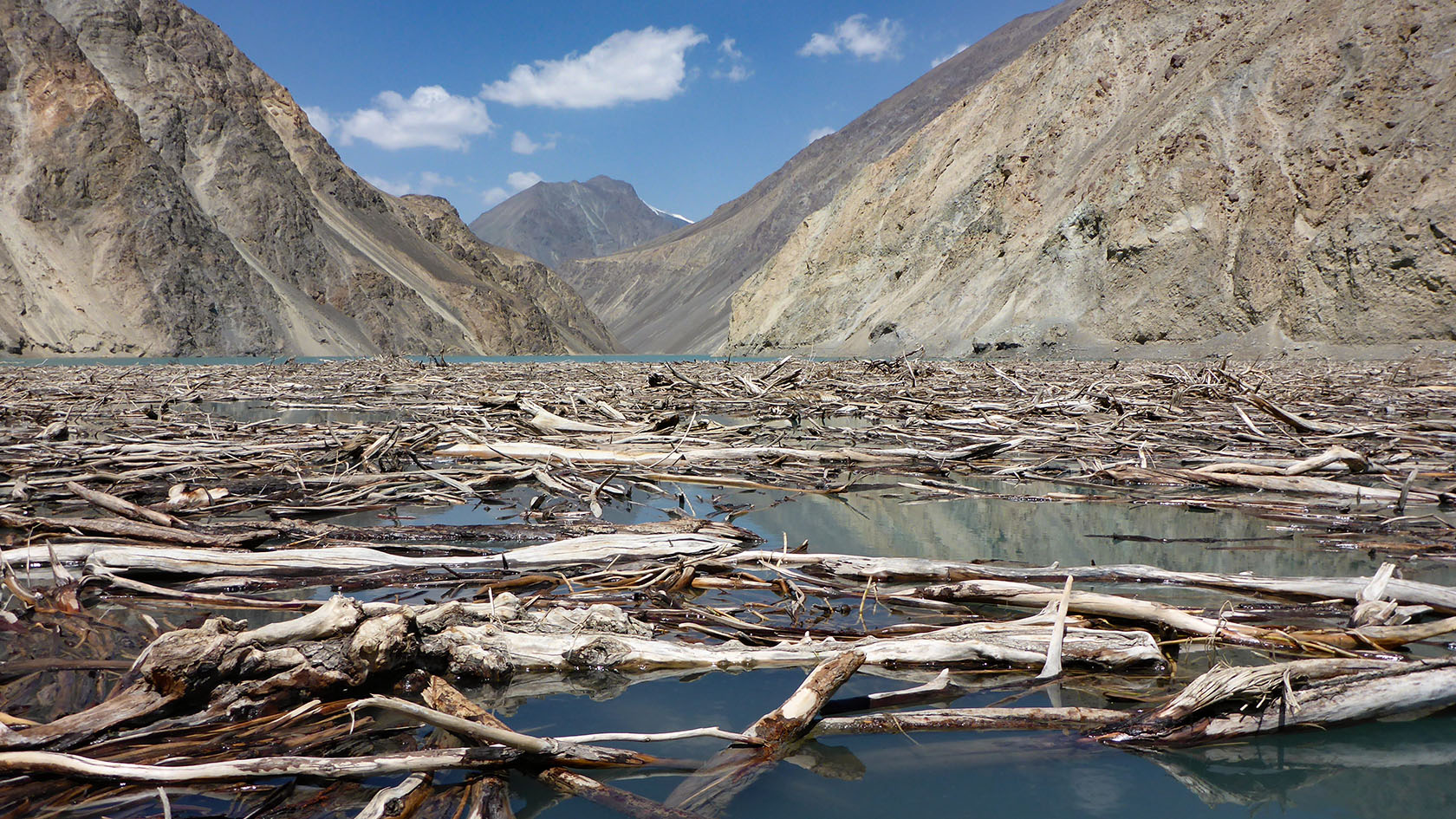 Восточный Сарез, image of landscape/habitat.