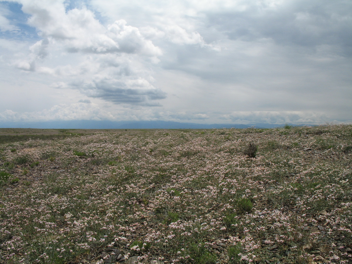 Сюгатинская долина, изображение ландшафта.