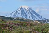 Вилючинские горячие источники, image of landscape/habitat.