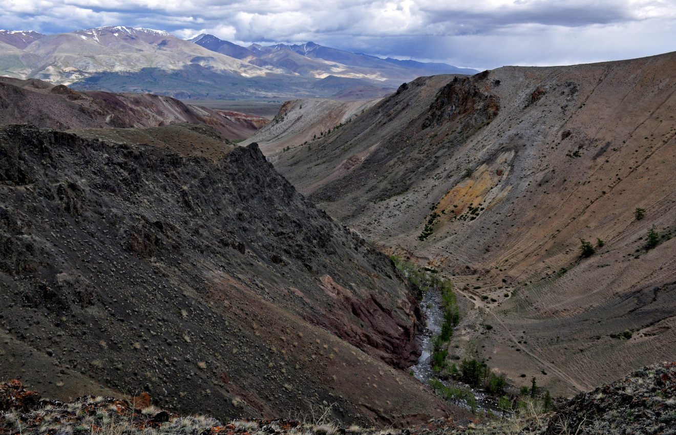 Долина реки Кызыл-Чин, image of landscape/habitat.