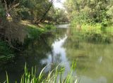 Болда, image of landscape/habitat.