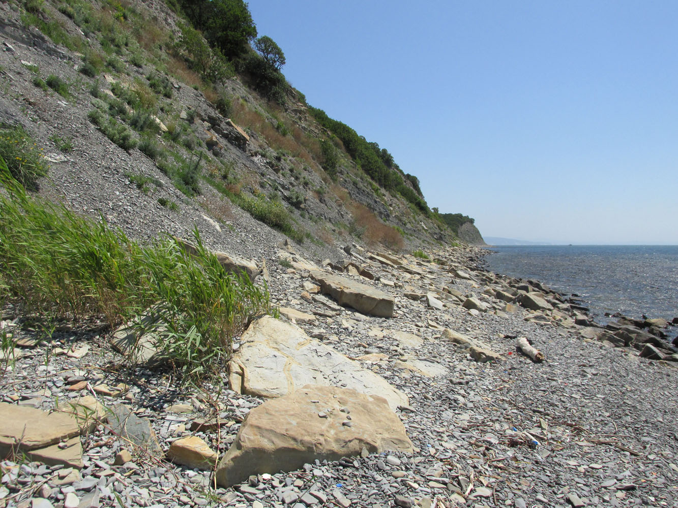 Широкая Балка, image of landscape/habitat.
