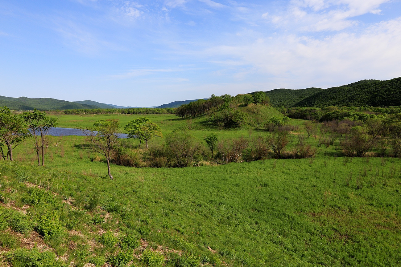 Комиссарово, image of landscape/habitat.