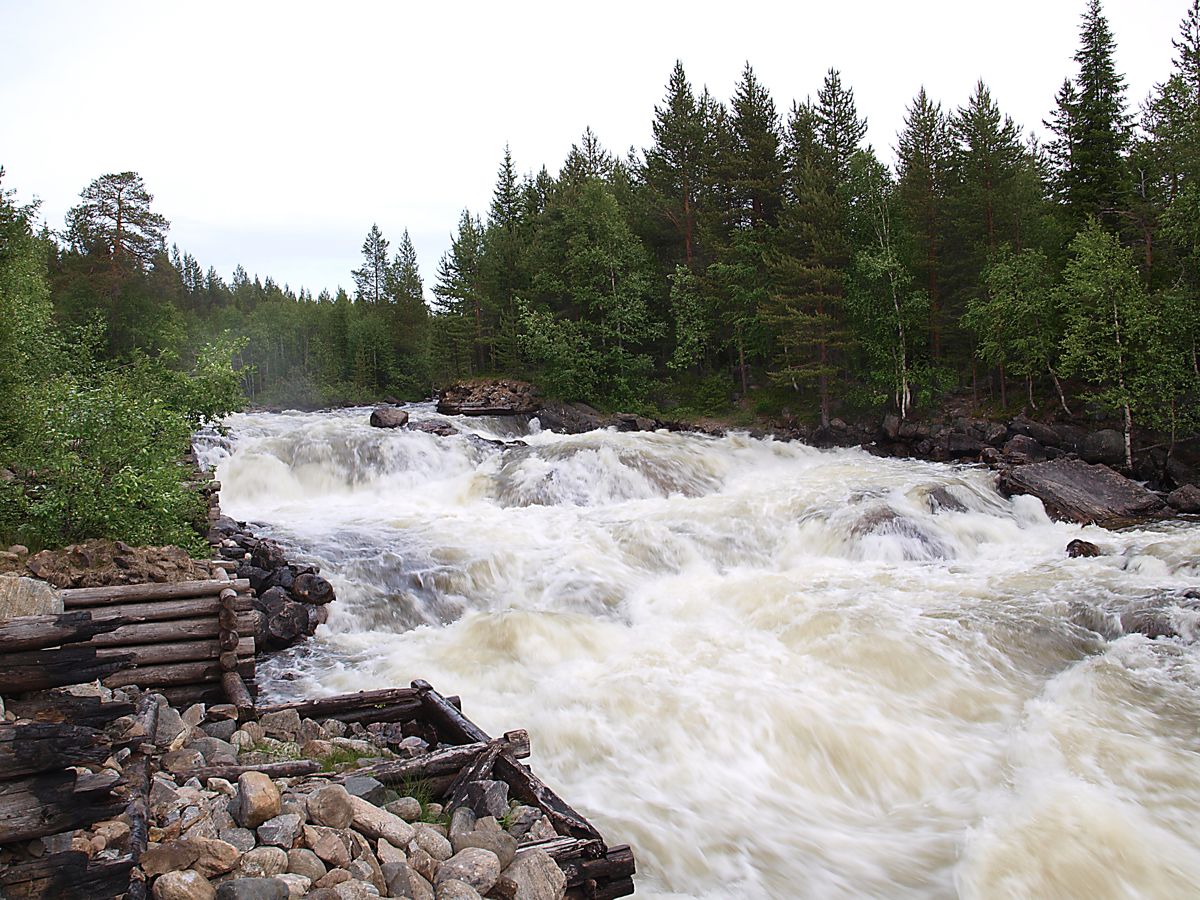 Колвица, image of landscape/habitat.