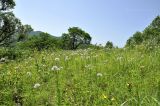 Монакино, image of landscape/habitat.