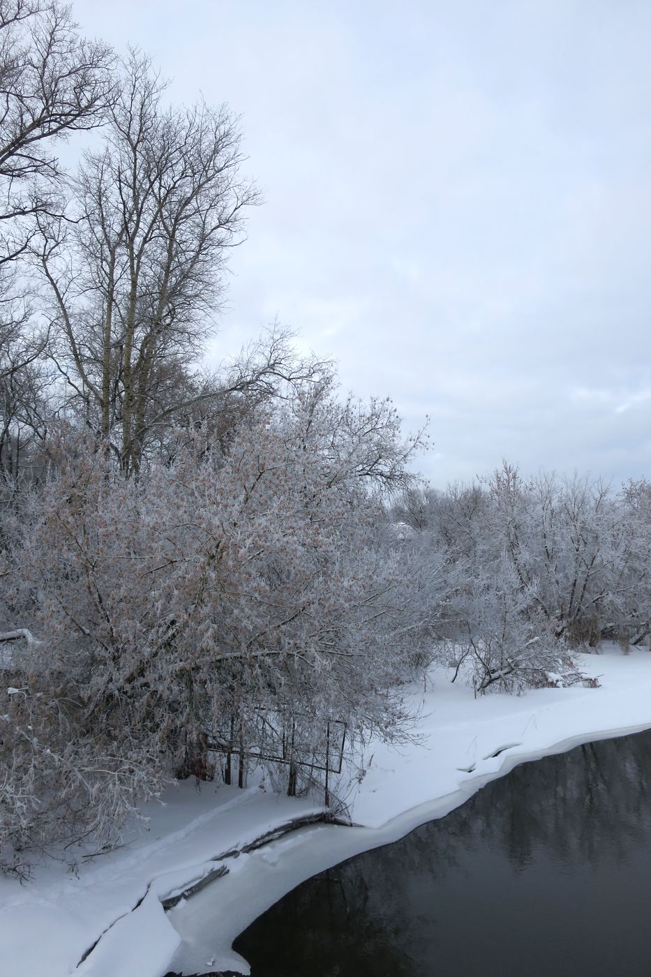 Лосино-Петровский и окрестности, image of landscape/habitat.