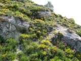 Image of landscape