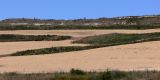 Image of landscape