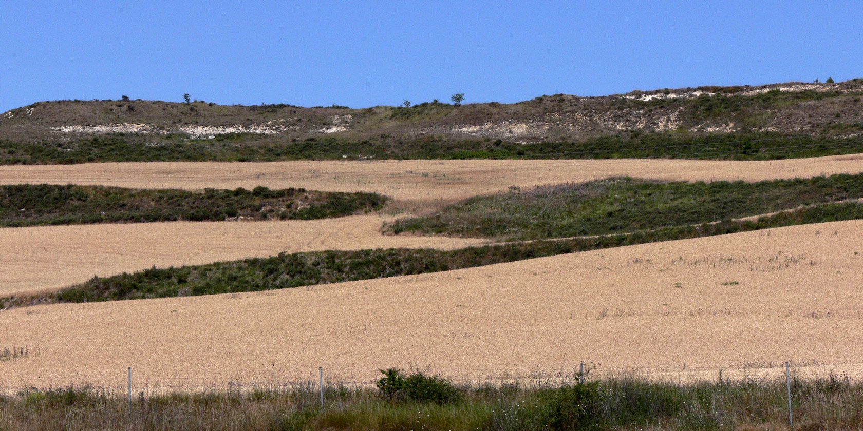 Окрестности Бургоса, image of landscape/habitat.
