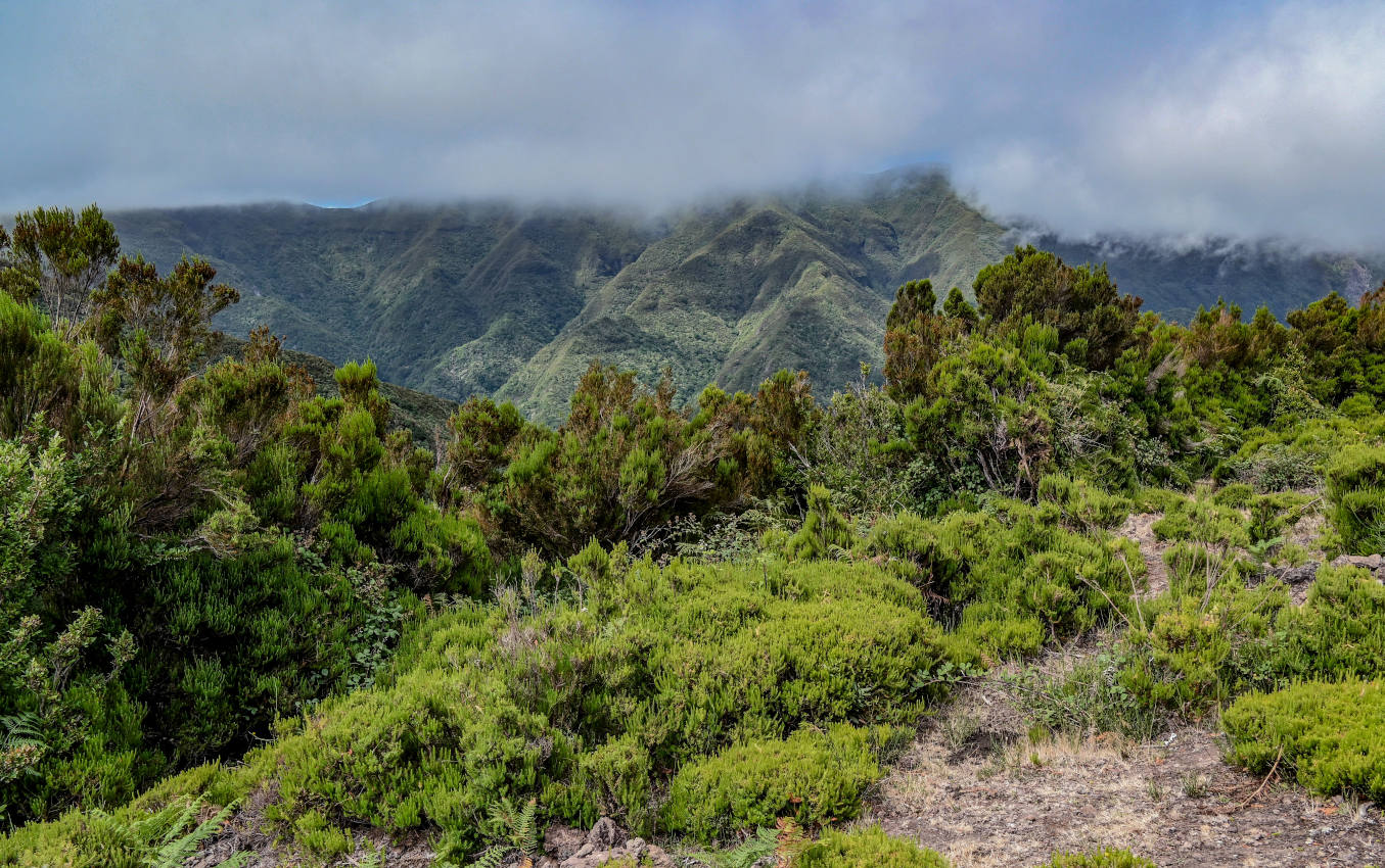 Национальный парк "Фанал", изображение ландшафта.
