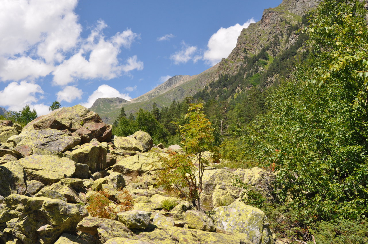 Окрестности города Теберда, image of landscape/habitat.