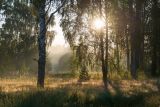 Landscape image
