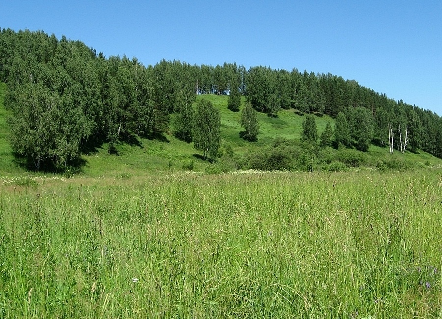 Бассейн Малой Киргизки, image of landscape/habitat.