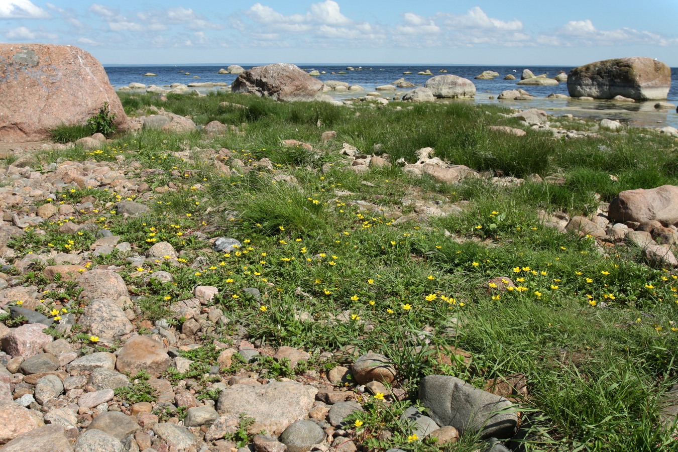 Каравалдай, image of landscape/habitat.
