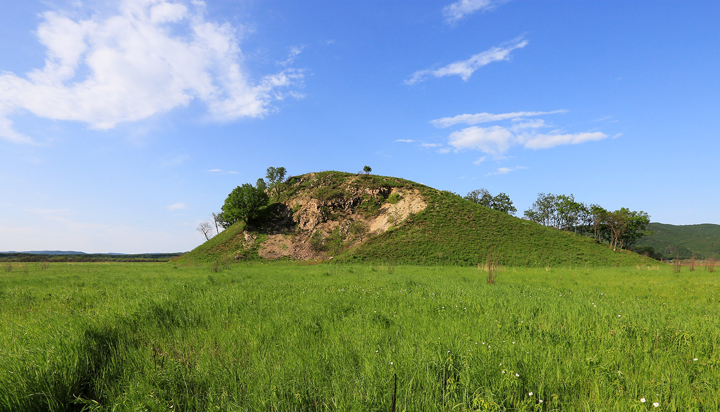 Комиссарово, image of landscape/habitat.