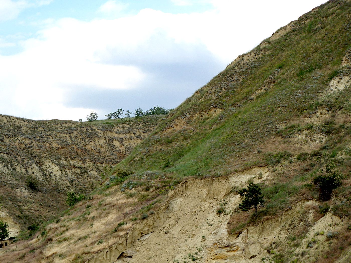 Вэлень, image of landscape/habitat.