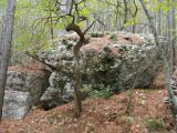 Урочище Таракташ, изображение ландшафта.