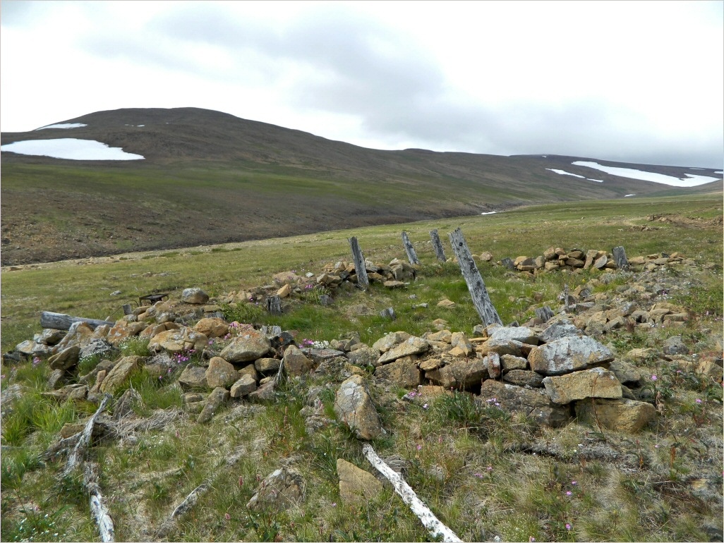 Кершор, image of landscape/habitat.