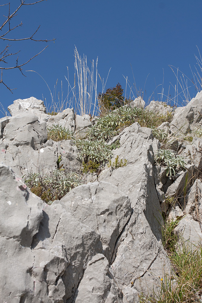 Путь к Космачу, image of landscape/habitat.