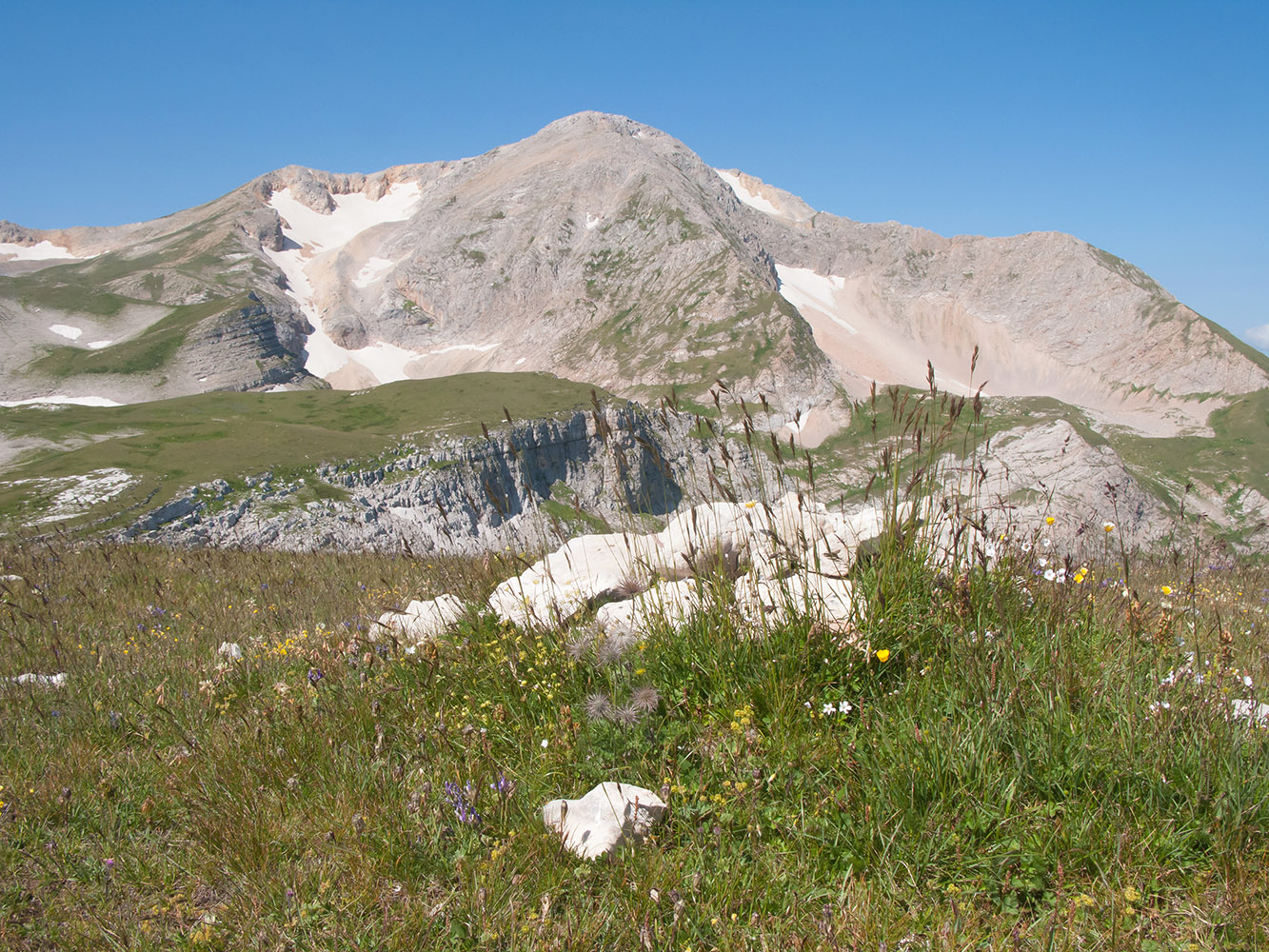 Оштен, image of landscape/habitat.