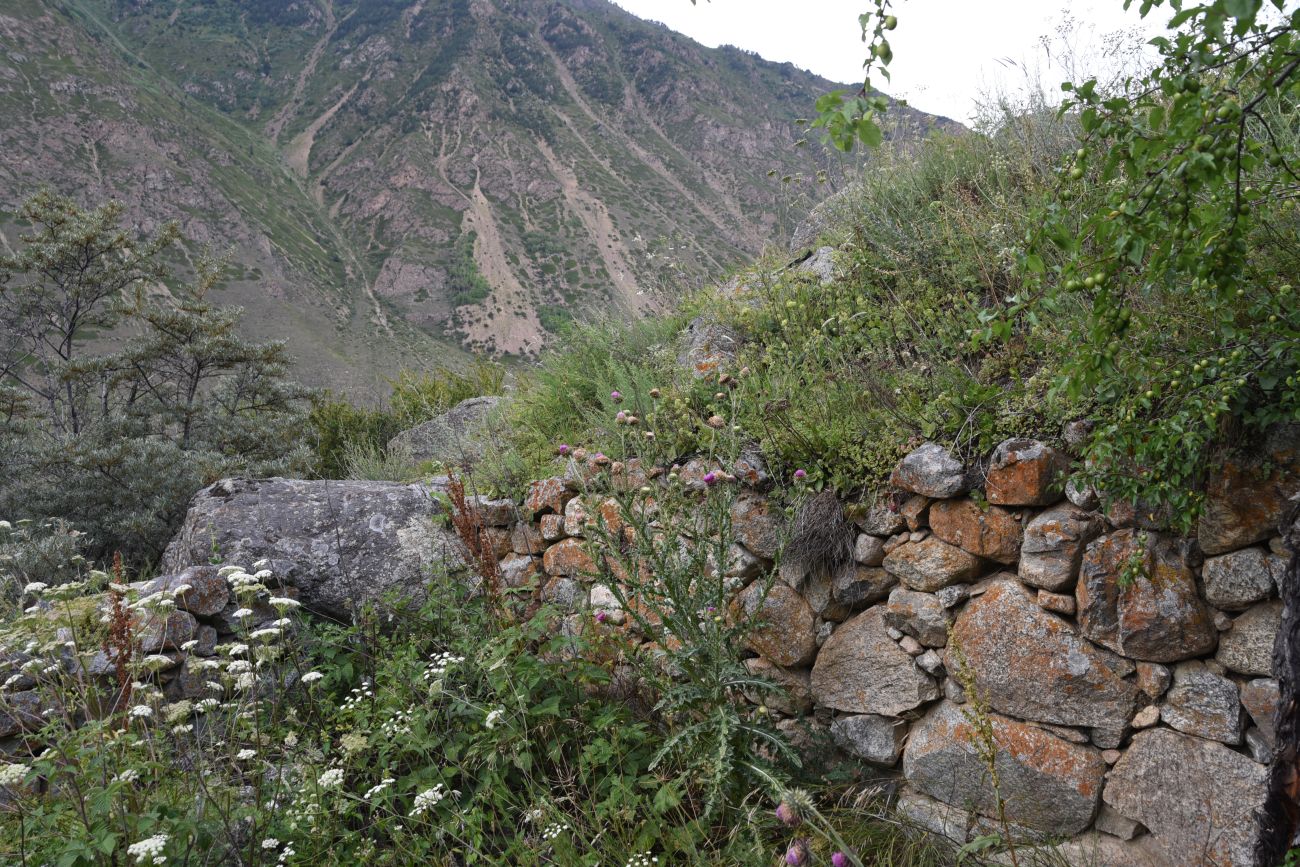 Памятник первовосходителям, image of landscape/habitat.