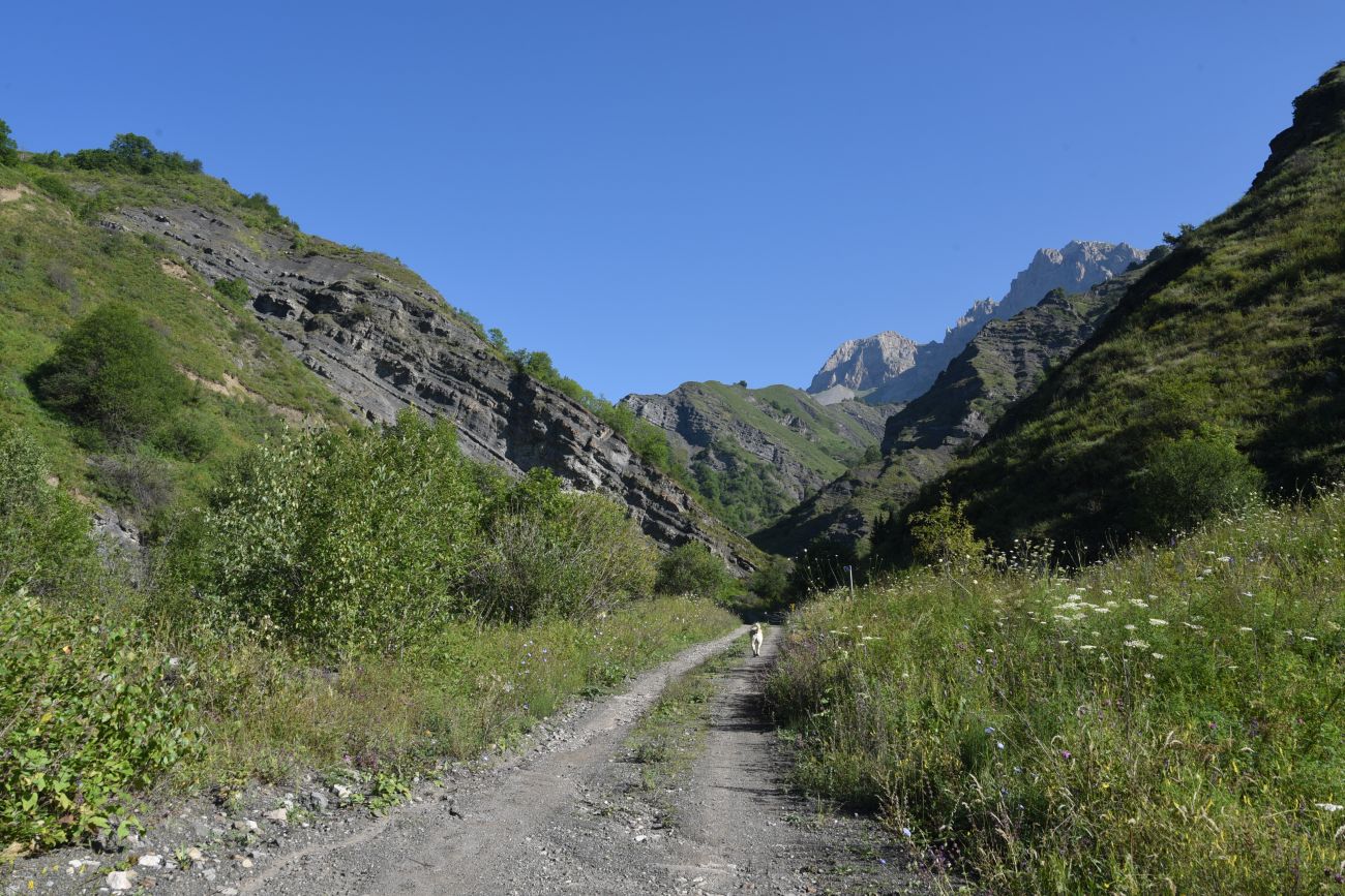 Окрестности водопада Цеси, изображение ландшафта.