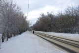 Лосино-Петровский и окрестности, image of landscape/habitat.