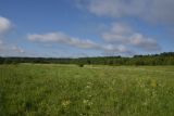Image of landscape