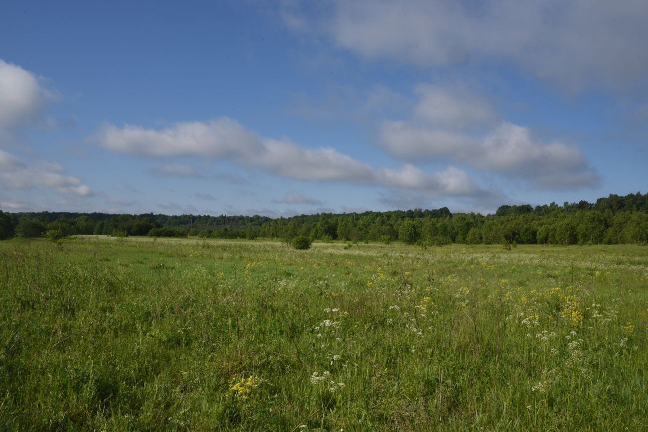 Деревня Николаевка и окрестности, image of landscape/habitat.