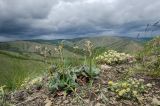 Изображение ландшафта