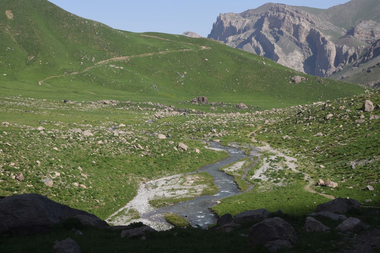 1 км от базового лагеря, image of landscape/habitat.