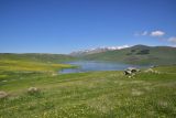 Image of landscape