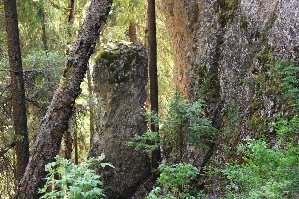 Ветлан, image of landscape/habitat.