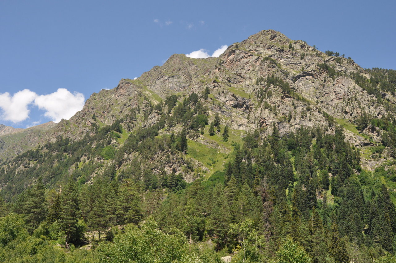 Окрестности города Теберда, image of landscape/habitat.