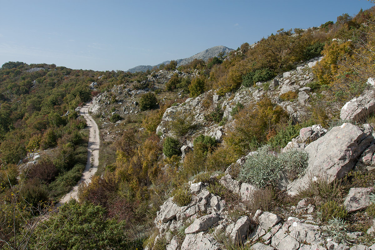 Путь к Космачу, image of landscape/habitat.