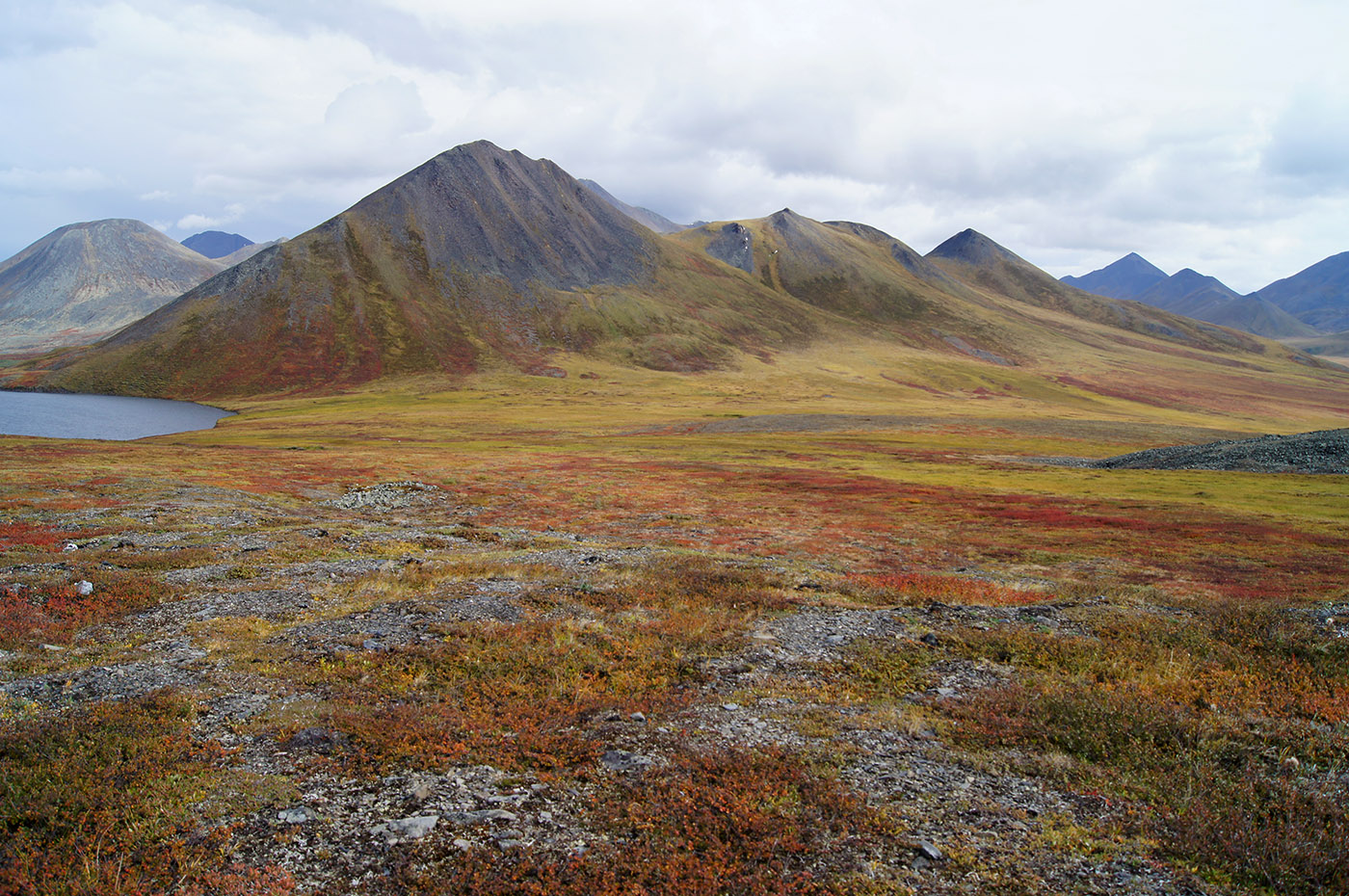 Долина реки Сахынья, image of landscape/habitat.