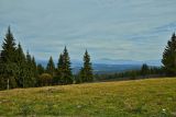 Луг возле шоссе, image of landscape/habitat.