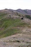 Image of landscape