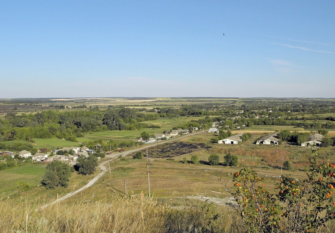 Село Стрельцовка, изображение ландшафта.